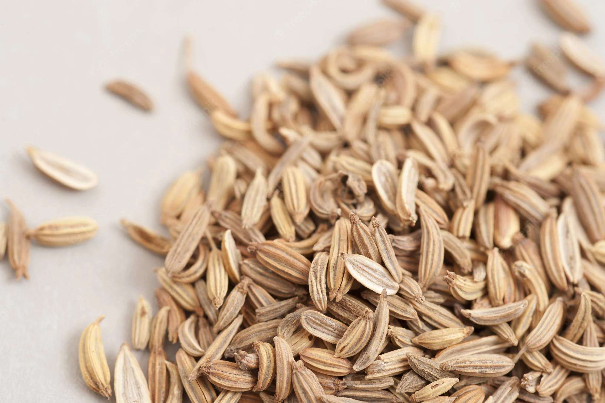 whole-caraway-seeds-Crocus Media.jpg